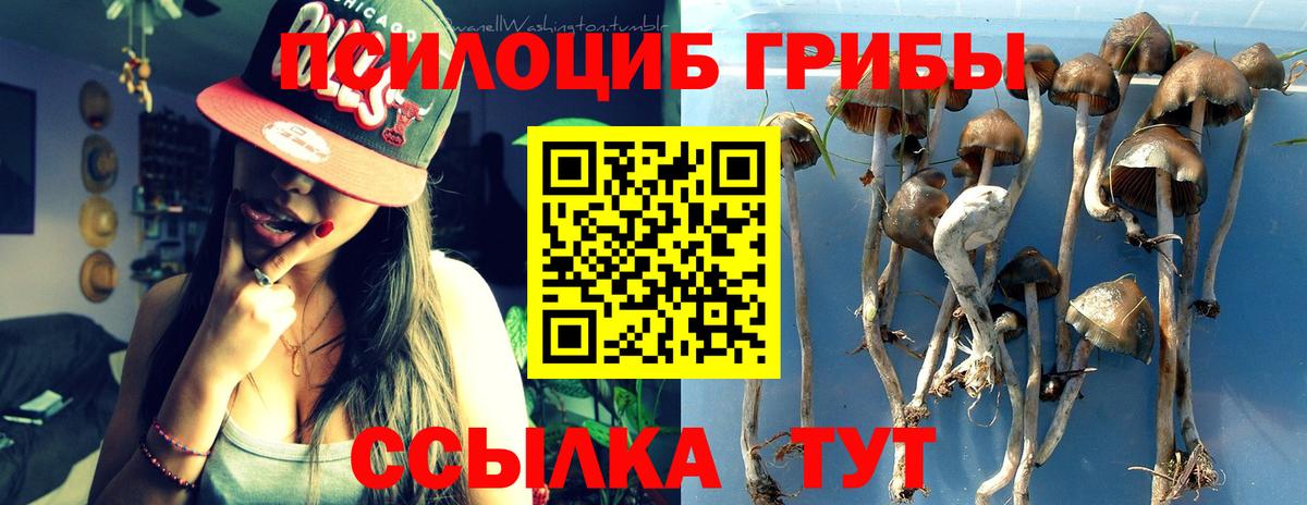 Ахтубинск  купить наркотики сайты  Вход с VPN  Галлюциногенные грибы прущие грибы 